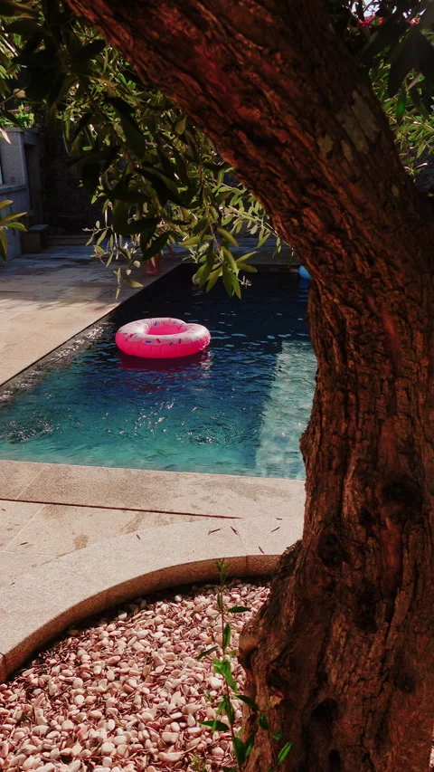 A shot hidden behind an olive tree where we see a doughnut-shaped inflatable Video stock 280469856