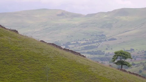 Shot of a hill with a stone wall Stock Footage 121694369
