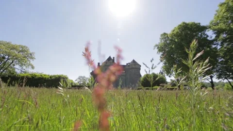 Shot of a house surrounded by some trees and a field Stock Footage 131306058