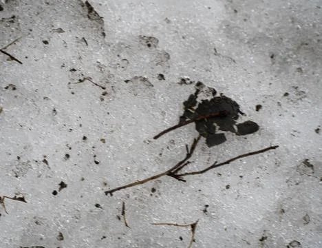 Shot of ice piles on the ground Stock Photos