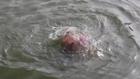 A shot of an Indian man taking bathing in the river in India Stock-Footage 156397727