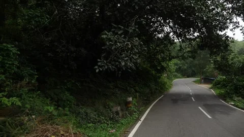 Shot of Indian road passing through dense forest Stock Footage 156989974