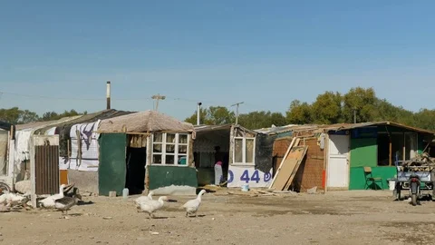 Shot inside a Romanian camp in Shkodër, Albania, walking ducks Stock Footage 84679993