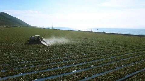 Shot of irrigating system of the plantation field Stock Footage 80978631