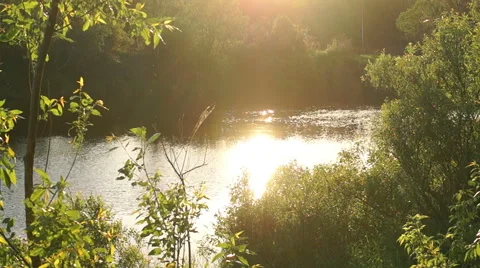 Shot of a lake scenic in summer, slide move Video stock 57335341