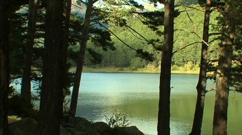 Shot of lake through trees Stockbeeldmateriaal 90768