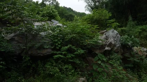 Shot of large rocks inside the forest Stock-Footage 156970120
