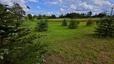 Shot of a Latvia flag waving during daytime in a field. Cumulus clouds. Stock Footage 285069571