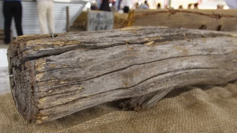 A shot of a log in slow motion Stock Footage 91688622