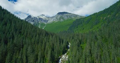 A shot looking down on trees and streams, tilted towards the mountains. Stock Photos