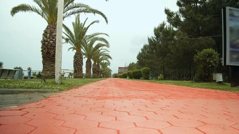 Shot from a lower angle. Bicycle path in the park. Stock Footage 112376335