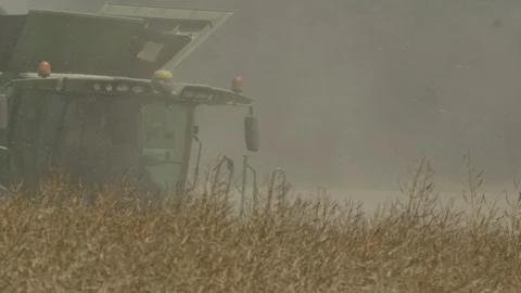 Shot made in a wheat field in slowmotion 4k 120fps Stock Footage 125059031