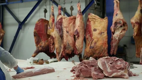Shot of meatman with a sharp knife in hand separating meat from bones. 4k Stock Footage 144112948