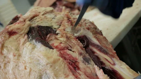 Shot of meatman with a sharp knife in hand separating meat from bones. Stock Footage 144258447