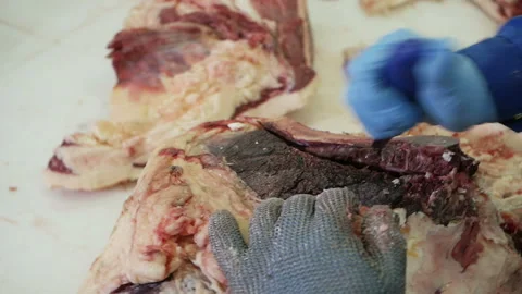Shot of meatman with a sharp knife in hand separating meat from bones. Stock Footage 144259063