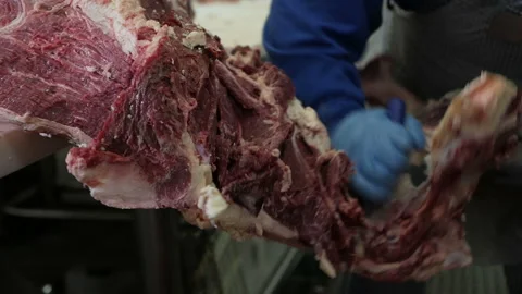 Shot of meatman with a sharp knife in hand separating meat from bones. Stock Footage 144260107