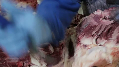 Shot of meatman with a sharp knife in hand separating meat from bones. Stock Footage 144262002