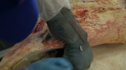 Shot of meatman with a sharp knife in hand separating meat from bones. Stock Footage 144265227