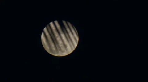 A shot of the Moon with a Palm leaf in the foreground Stock Footage 52531811