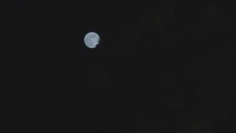Shot of the Moon with tree on foreground Stock Footage 114707884