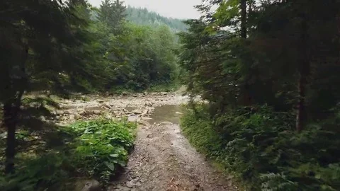 Shot mountain forest with river Stock Footage 69254523