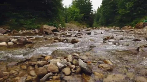 Shot mountain forest with river Stock Footage 69254882