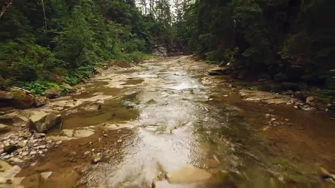 Shot mountain forest with river Stock Footage 69255280