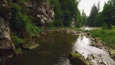 Shot mountain forest with river Stock Footage 69255649