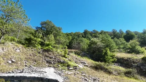 Shot of a mountainside with trees 動画素材 346067260