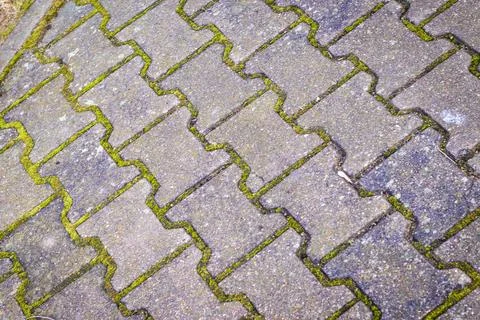 Shot of the old interlock bricks with grass between them. Texture 스톡 사진