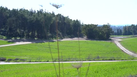 Shot Of An Open Feild With Trees in the Background Stock Footage 167583631