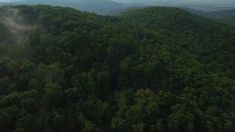 Shot over green forest, camera opening mountain hills and small clouds. Stock Footage 125639661