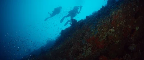 Shot over an intact coral reef with hard corals, soft corals and many tropica Vidéo 116044443
