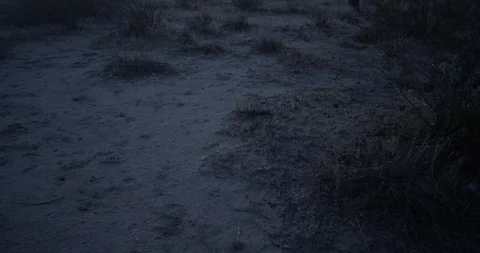 Shot panning up to reveal distant power lines in desert Stock Footage 117136261