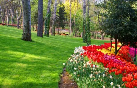 A shot of a park view Stock Photos