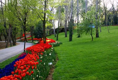 A shot of a park view Stock Photos