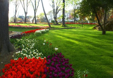 A shot of a park view Foto stock