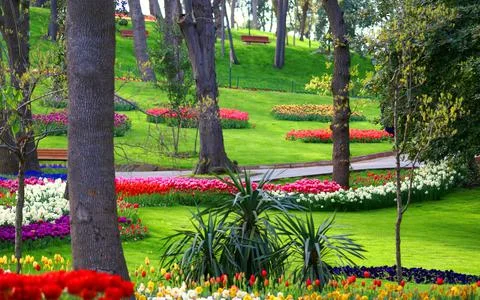 A shot of a park view Stock Photos