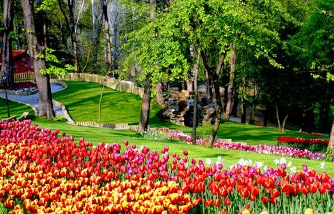 A shot of a park view Foto stock
