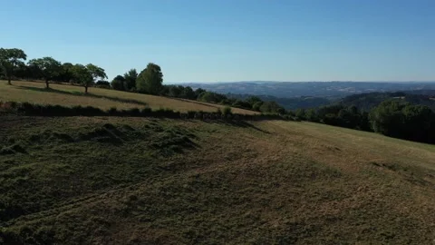 Shot passing over a group of cows eating on the hillside Stock Footage 144828860