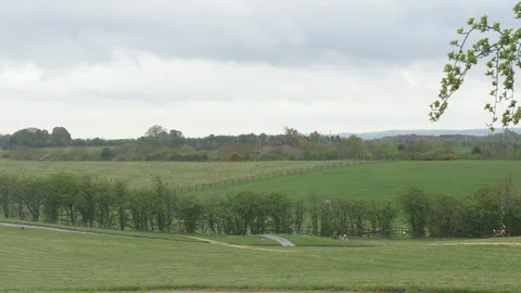 Shot of A Peaceful Open Field Stock Footage 88998558