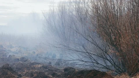 A shot of peat bog fire 库存影片 167489832