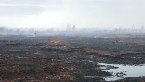 A shot of peat bog fire Stock Footage 167489834