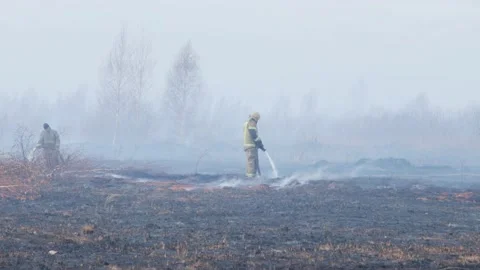 A shot of peat bog fire Видео 167489885