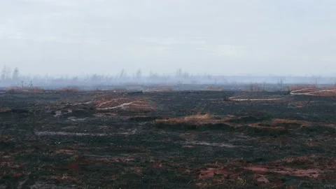 A shot of peat bog fire Stock Footage 167489927