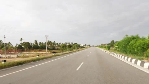 Shot of plant on divider between the road Stock-Footage 156972230