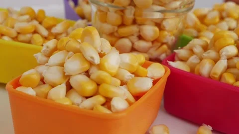 Shot of plastic bowl filled with corn seeds, View of corn seeds in a bowl 動画素材 148217816