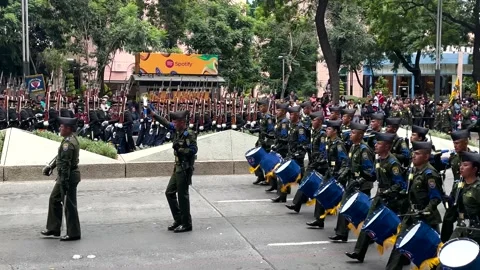Shot of the progress of the corps of musicians during the parade of the Stockbeeldmateriaal 218672666