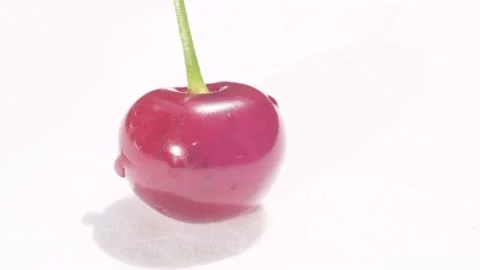 A shot of a red cherry with a root on a white background. Subject video shooting Stock-Footage 200829270