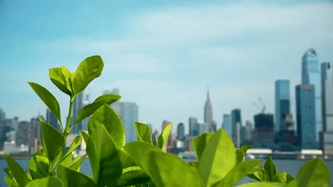 Shot revealing dramatic view of New York City 4K Video stock 131872512